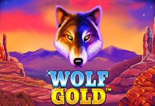 Wolf Gold